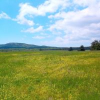 в Крымских горах